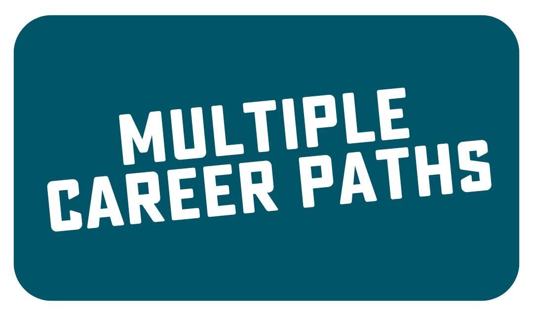 Multiple Career Paths